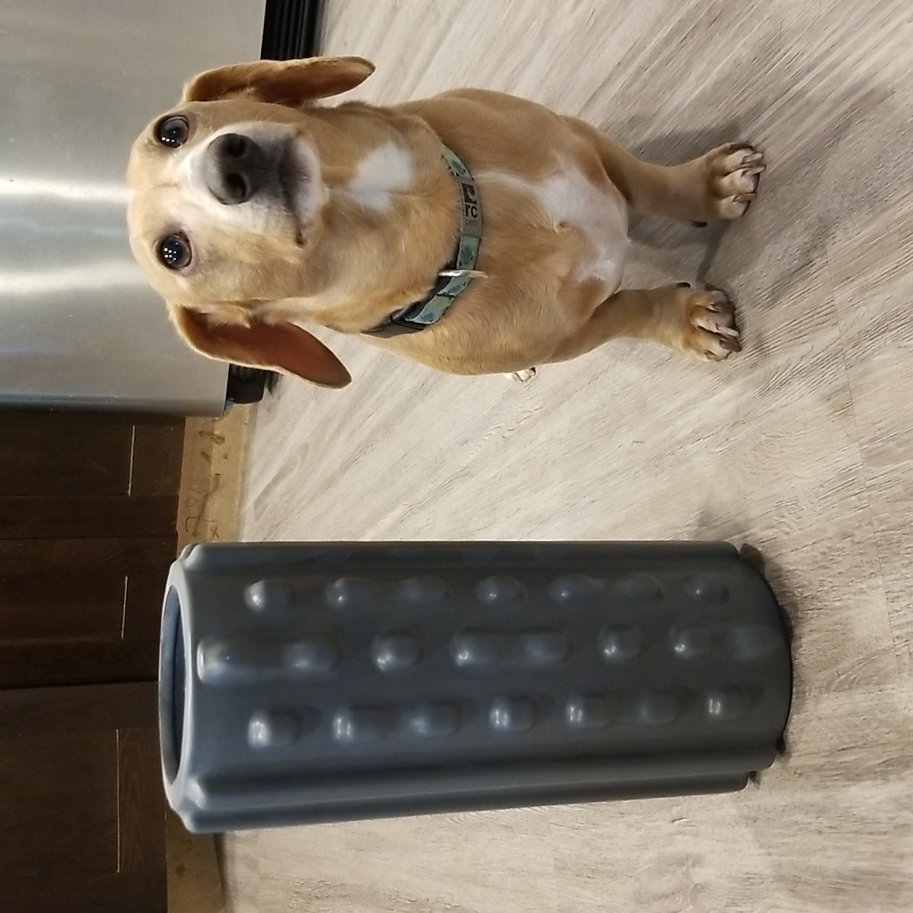 Foam roller
